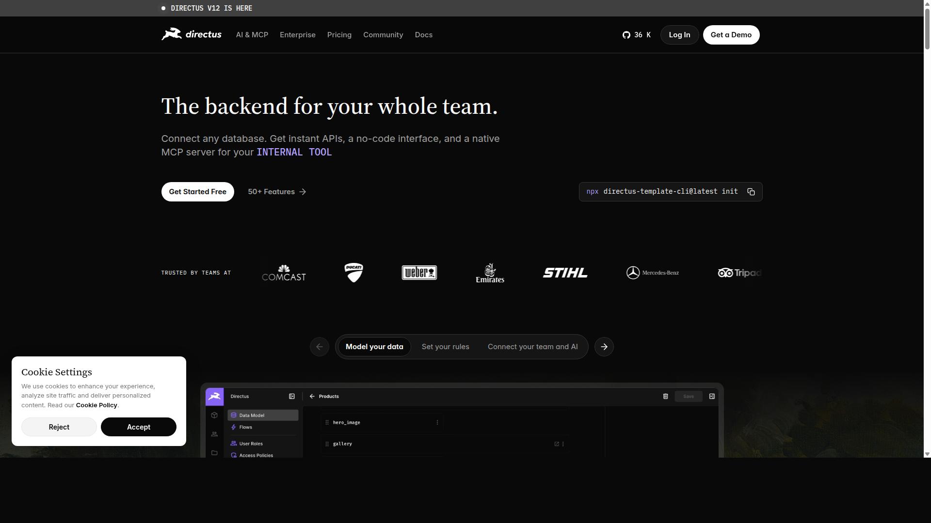 Directus website
